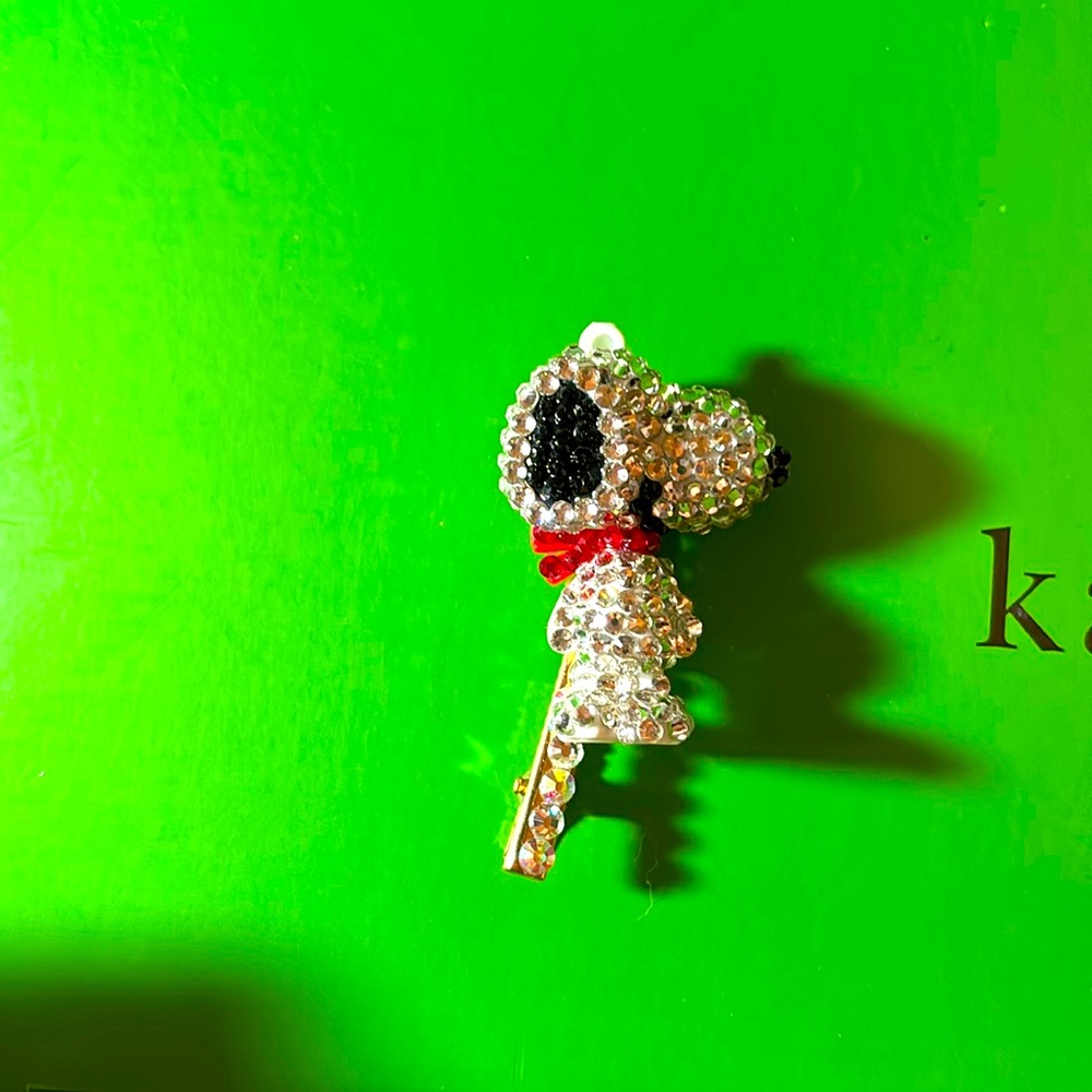 Snoopy Barrett could be used as a brooch as well